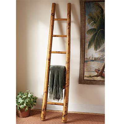 Bamboo Ladder1