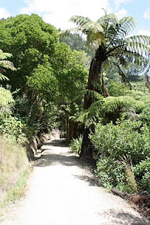 Walking down towards Cathedral Cove