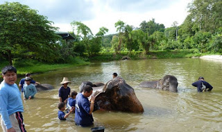 Baanchang Elephant Park de Chiang Mai.