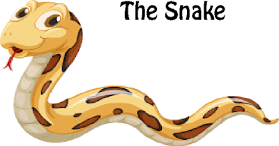 Snake essay cover