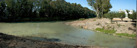 Desembocadura del Buitrago en el Guadalete (septiembre 2011)