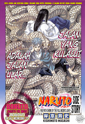 Cover Naruto side story