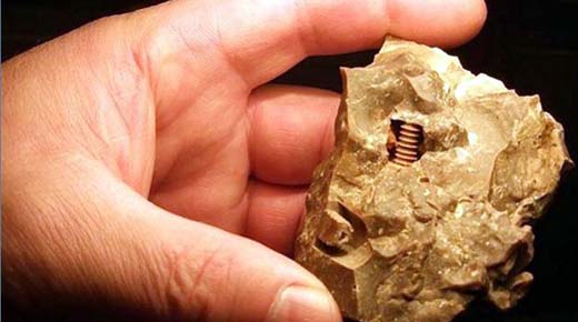 OOPARTS: ¿Estos “pernos” provenientes de la prehistoria fueron fabricado con alta tecnología?