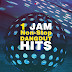 Various Artists - 1 Jam Non-Stop Dangdut Hits [iTunes Plus AAC M4A]