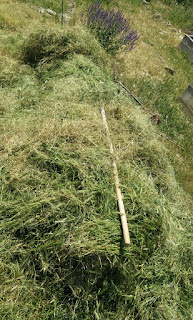 A big pile of grass to be dried