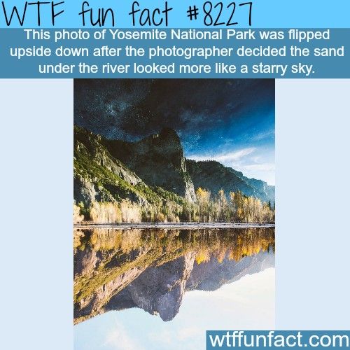 40 Amazing Random WTF Facts
