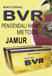 Gambar Natural BVR Nasa