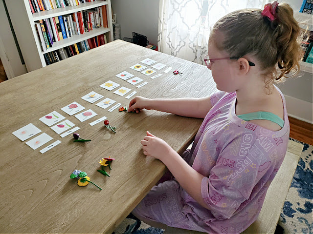 Flowers Nomenclature Cards and Objects Match Up Activity