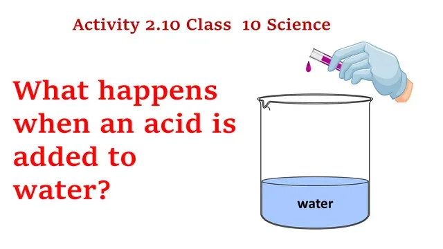 NCERT Class 10 Science Activity 2.10 Explanation