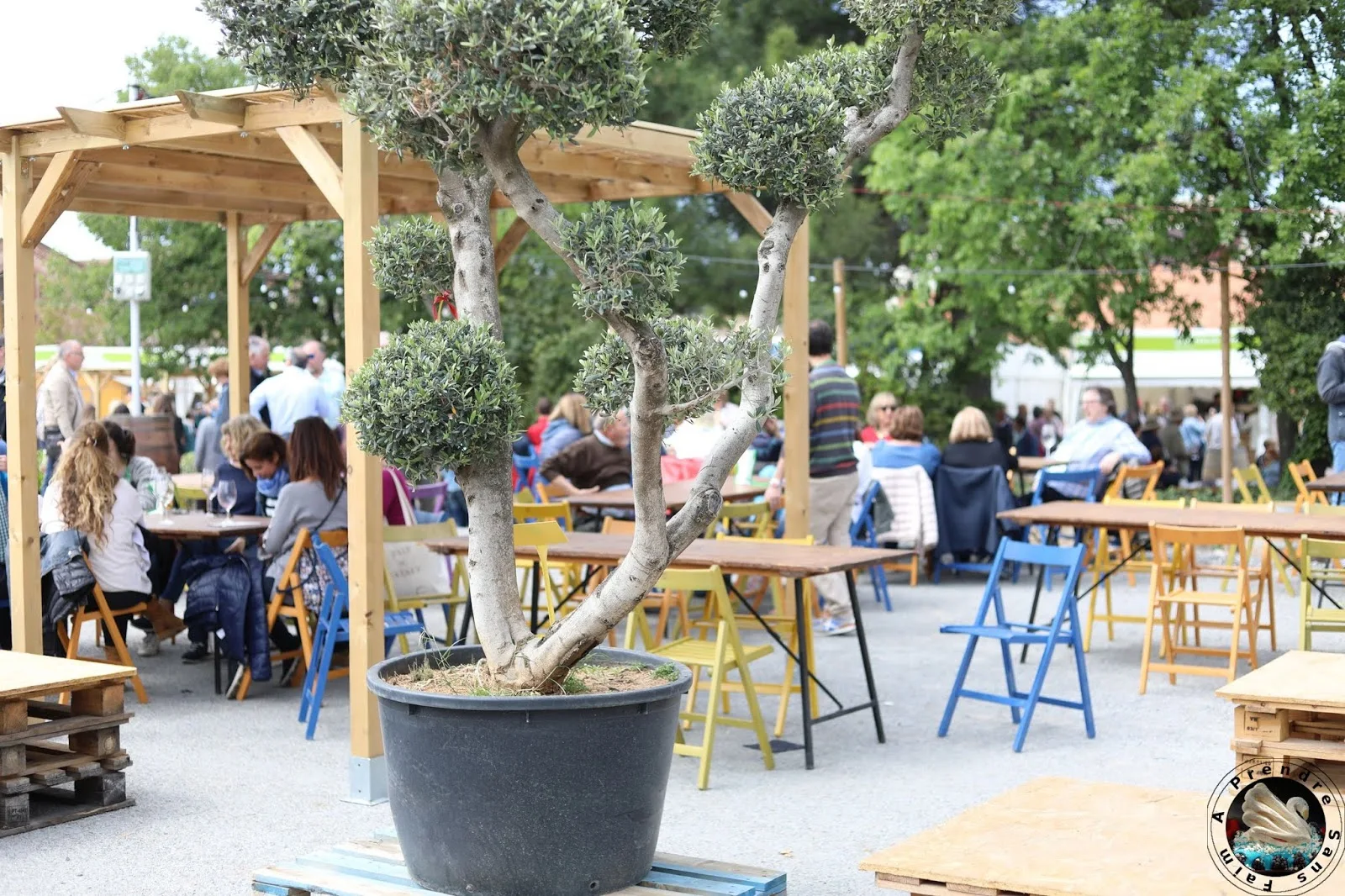 Foire du vin de Falset et visite de la coopérative