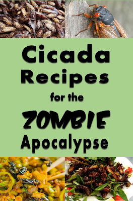 Cicada Recipes for the Zombie Apocalypse