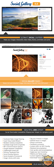  اضافة Social Gallery v4.5 للووردبريس لعرض صور موقعك مثل الفايسبوك  2016