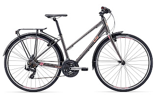 Stolen Bicycle - Liv Alight 3