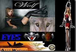 WOLF EYES REPORT