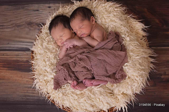 Bebés gémeos numa alcofa.