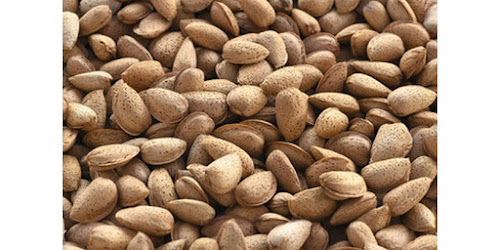 BUBUK KACANG ALMOND UNTUK WAJAH<br/>Barito Selatan<br/>