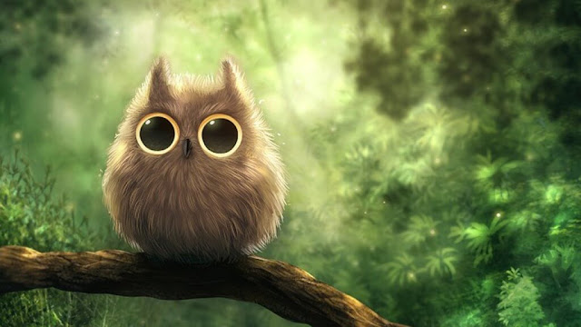 Cute Owl Wallpaper