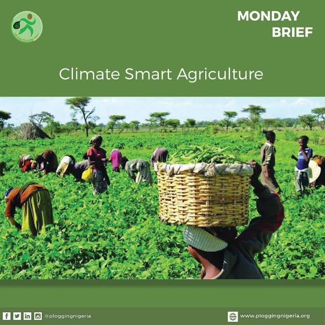 Climate-Smart Agriculture: Addressing the Problems of Agriculture Today
