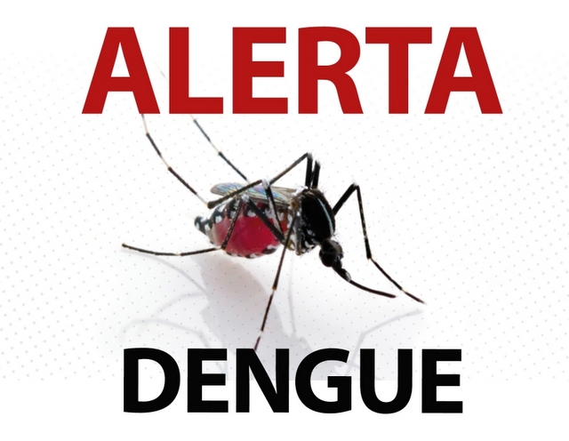 Dengue deve bater recorde de mortes no país, e epidemia pode avançar sobre o Nordeste