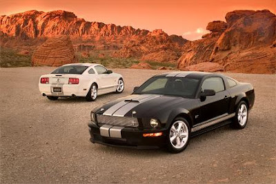 Ford Mustang Shelby GT 2007 User Manual