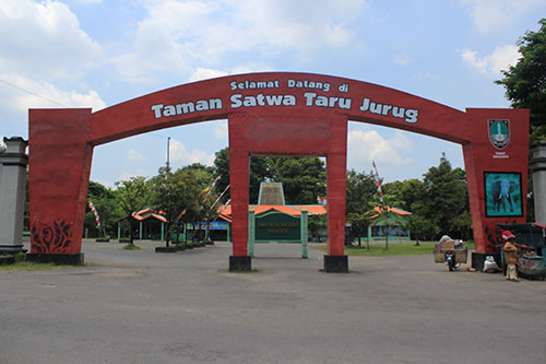 wisata solo