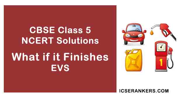 NCERT Solutions for Class 5th EVS Chapter 12 What if it Finishes