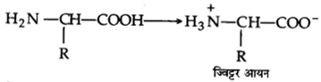 Solutions Class 12 रसायन विज्ञान-II Chapter-6 (जैव-अणु)