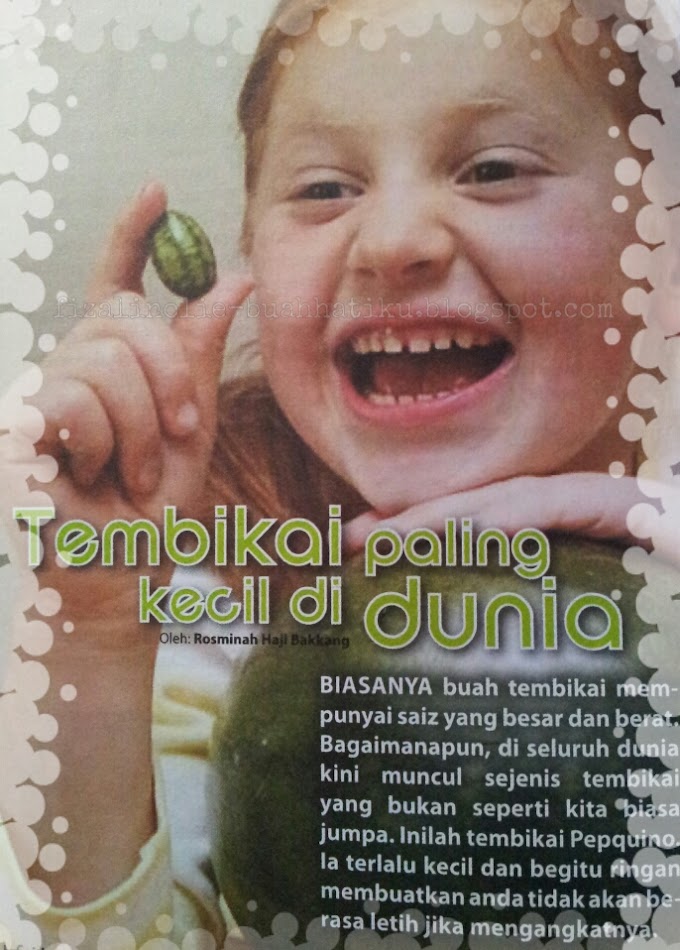 Kisah Pelik | Buah Tembikai terkecil di dunia