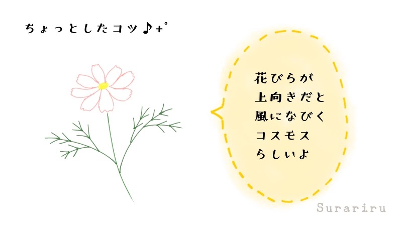 簡単なコスモスの花のイラストの描き方 遠北ほのかのイラストサイト 簡単なコスモスの花のイラストの描き方 遠北ほのかのイラストサイト