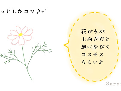 [ベスト] シンプル コスモス イラスト 簡単 125204
