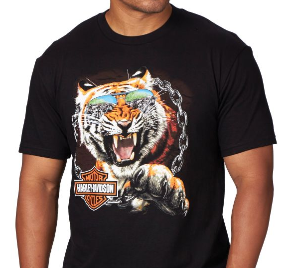 http://www.adventureharley.com/harley-davidson-t-shirt-roaring-glory-black