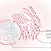 Eukaryotic-Nucleus-chromatin | Notes-by-UK-Sir | Cell-Bio- 14