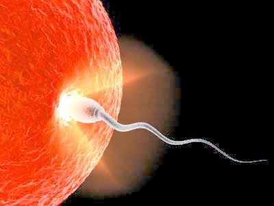 http://www.ivf-clinics-india.com/Assisted-Reproductive-Technique.php