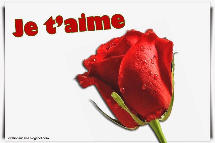 Phrase et message d'amour pour lui dire je t'aime