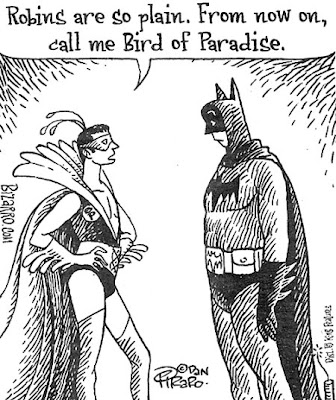 OK, Ya gotta admit, this one with Robin's new costume choice is pretty funny 