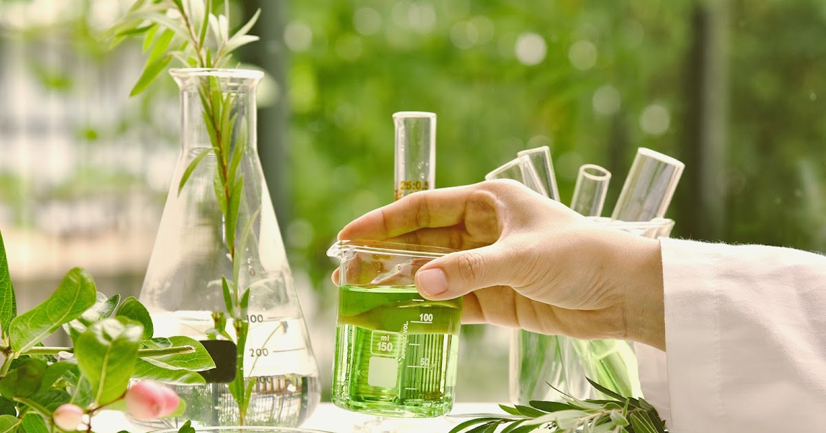 Organic chemicals have gained significant demand due to growing awareness regarding ill effects of synthetic chemicals