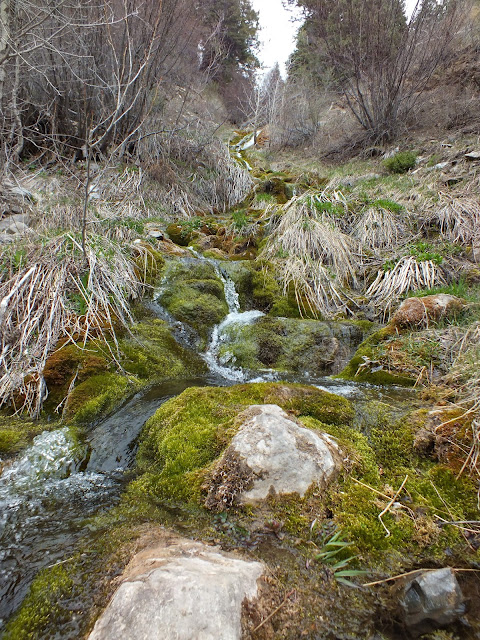 Utah stream