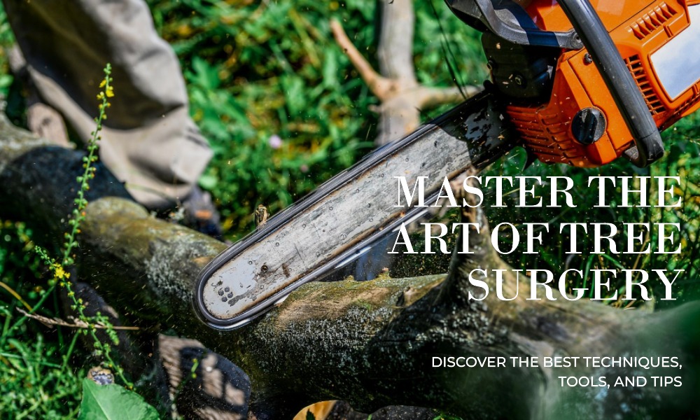The Ultimate Guide to Tree Surgery: Techniques, Tools, and Tips