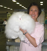 Northern California Angora Guild