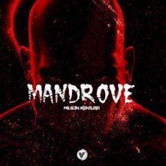 (Afro House) Mandrove (2018)