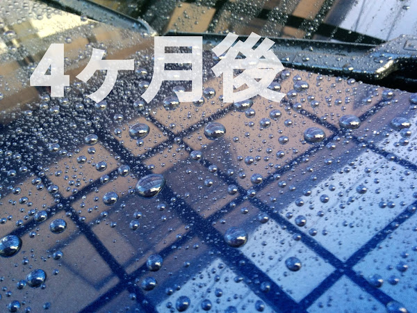 ウイルソン シランガード