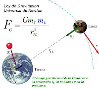 La masa es el módulo, el peso es el vector