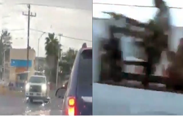 Video: "ZETAS del CDN se AMANECEN": DECENA de SICARIOS "BIEN ARTILLADOS" PASEAN IMPUNIDAD por CALLES de NUEVO LAREDO