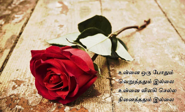 Tamil Feeling Kavithai Images