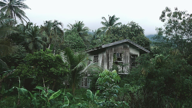 The Perfect Greenhouse Design