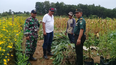 Agenda Pertanian Koramil 2119, Mendengarkan Keluh Kesah Para Petani