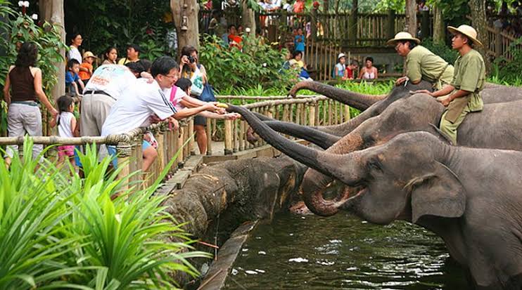 Medan Zoo Simalingkar Sumatera Utara