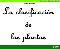 http://cplosangeles.juntaextremadura.net/web/edilim/tercer_ciclo/cmedio/las_plantas/la_clasificacion_de_las_plantas/la_clasificacion_de_las_plantas.html