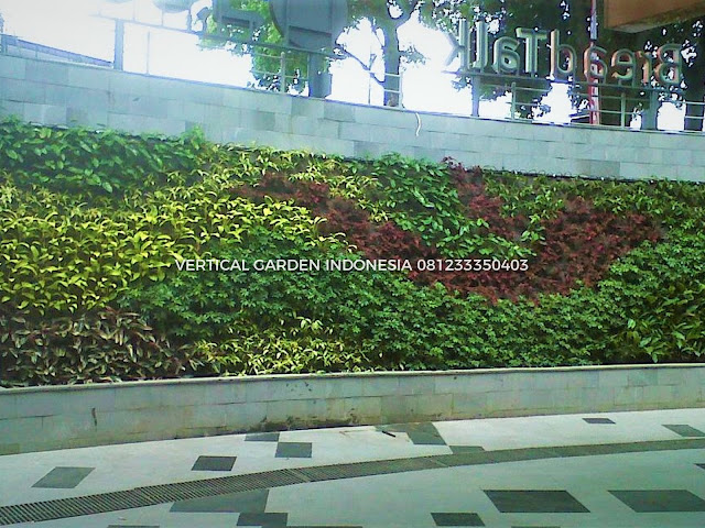 VERTICAL GARDEN INDONESIA SPESIALIS JASA PEMBUATAN VERTICAL GARDEN DI PASURUAN DAN DI SELURUH WILAYAH PASURUAN DENGAN TENAGA YANG PROFESIONAL DAN DAPAT DI PERCAYA YANG SELALU MENGUTAMAKAN SEBUAH MUTU DAN KUALITAS PEMASANGAN VERTICAL GARDEN/TAMAN DINDING, JASA TUKANG TAMAN VERTICAL PASURUAN, JASA VERTICAL GARDEN PASURUAN