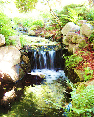 Waterfall, beacon hill park, victoria, bc